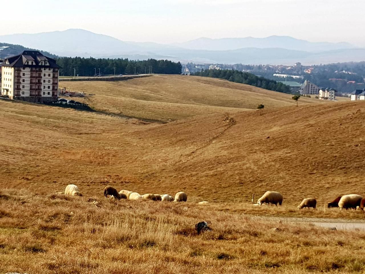 Sunset Zlatibor Hills Bed and Breakfast Exterior foto